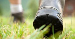 hiking-boots-walking-istock
