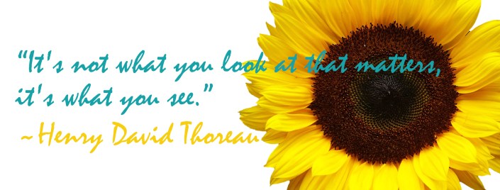 Henry David Thoreau