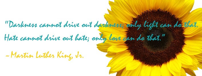 Martin Luther King Jr. Hate Quote