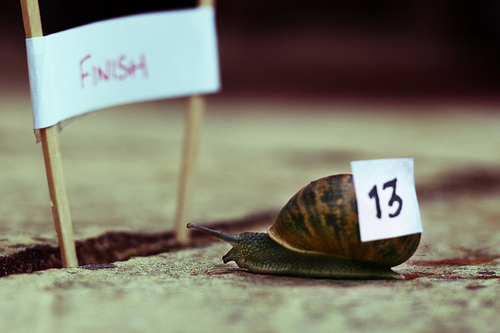 You Cannot Lose. You Either Win or Learn.